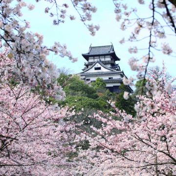 犬山城&稻荷神社& 恵那峡&马笼宿&妻笼宿一日游|名古屋出发