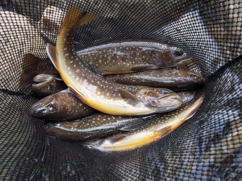 东成濑村酒店住宿-Komakusa