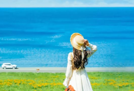 赛里木湖纯玩一日【伊宁/博乐起止+精致小团+车进景区+接送】【5H左右超长游览+上门接送+开车进景区（免排队免换乘）+专业司导+活动时间充足】