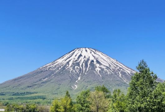 日本北海道洞爷湖-昭和新山熊牧场-留寿都村【北海道中文专车】【中文专车出行，景点灵活调整，打卡经典，游玩自己定义，无需等待，专属贴心服务，尽享惬意旅程】