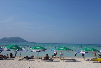【济州岛海豚之旅】西南线海钓&海豚船+狭才+小羊肖恩一日游【济州岛经典西南线自然景观】