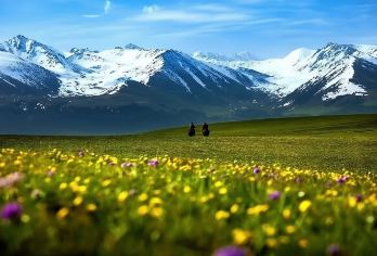 库尔德宁一日游【精致小团+专享环线+深度游玩+店铺领劵】【[核心优势]轻奢小团+伊宁市区免费上门接送+免费接送火车/飞机+五座或七座车型更好乘坐体验】