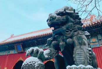 北京雍和宫+恭王府一日游【赏秋.祈福走进雍和宫.探秘恭王府】【到恭王府里找找被和珅压到龙脉上的福字，走平步青云路，探秘三绝一宝！】