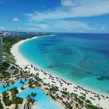 巴哈马拿骚：伊柳塞拉岛游泳猪和粉色沙滩一日游