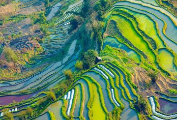 云南元阳哈尼梯田一日游【小众包车，专车接送，纯玩无购物】【独立成团，享受家人朋友一起出游的温馨时光；】