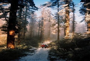 瓦屋山1日游&夏秋赏景·看兰溪瀑布【[品质纯玩]春季看瓦屋山绿叶；全程纯玩，无购物，兰溪绝壁留下你的“足迹”】