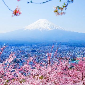 东京富士山,忍野八海,御殿场奥莱或自费温泉一日游
