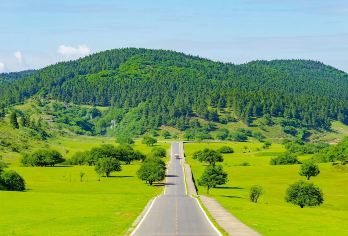 武隆天生三桥+仙女山森林公园一日游【配导游+午餐|可选小团】【[优质大团]二种车型：[40-50人团]标准舱皮座椅丨[2-8人小团]5-9座车，优选25年9座新车】