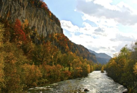 日本登别熊牧场-伊达时代村-地球岬-蓬莱门【北海道中文专车】【中文专车出行，景点灵活调整，打卡经典，游玩自己定义，无需等待，专属贴心服务，尽享惬意旅程】