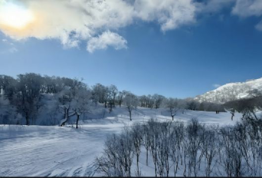 日本小樽运河-小樽天狗山-小樽音乐盒堂【北海道中文专车】【中文专车出行，景点灵活调整，打卡经典，游玩自己定义，无需等待，专属贴心服务，尽享惬意旅程】
