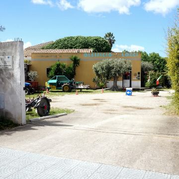 卡利亚里橄榄油庄园及品鉴体验（始于1600年，距市区20分钟）