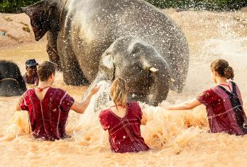 泰国普吉美旺可巧大象保护营半日游【亲子家庭游跟大象亲密互动/大象洗澡/喂食是非常难得的体验】