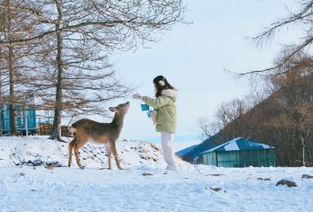 阿尔山火车站+白狼峰+鹿园+森林牧场一日游【亲爱的客栈】【[专业团队]全好评服务团队丨每车一团丨拒绝使用大巴车】