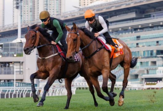 香港一日游海陆空全景【看赛马坐摩天轮落日飞车夜游维港 含餐】【高端团：一手资源，无购物，包含午餐晚餐，省去自理麻烦】
