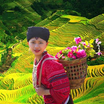 【8人小团/包团】桂林龙脊梯田-金坑梯田+黄洛红瑶寨一日游