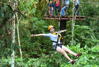 西双版纳原始森林公园丛林飞跃一日游【孔雀放飞丨丛林飞跃】【[可接可自由行]景洪市区酒店均可接。也可自行前往，指定点集合取票入园。入园自由活动，项目随心玩；】