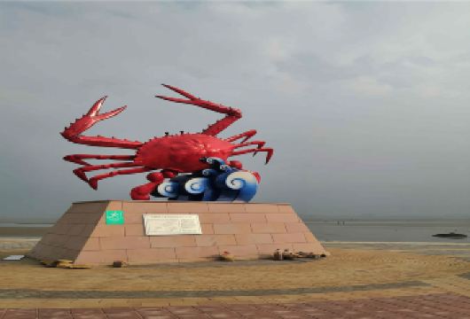 【提供赶海工具】青岛崂山仰口+会场赶海园+渔村+环海路一日游【[产品特色]市区直达崂山，游玩时间保证】