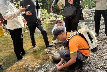 勐远仙境雨林徒步一日游【亲子研学+明星同款+可选溶洞探险】【明星同款雨林徒步，拍照打卡超出片】