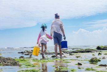 厦门植物园+赶海+帆船出海一日游【纯玩无自费 亲子赶海】【网红山海电梯丨一步一景 6转回眸】