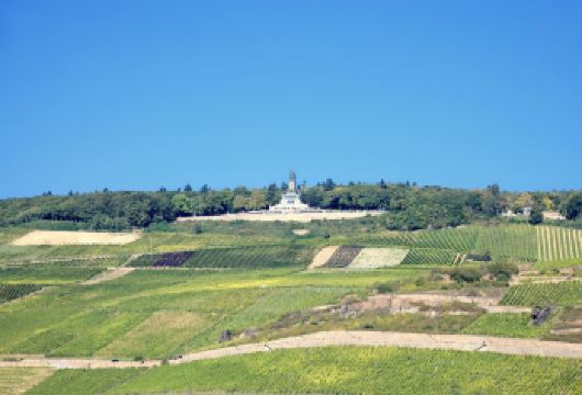 德国法兰克福+美因茨+美因茨大教堂+吕德斯海姆+画眉鸟小巷一【中文包车+行程可调+酒店接送】