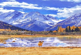 成都四姑娘山一日游【阅湖光山色/纯玩无购物/给心灵放个假】【纯玩无购物，品质出行，有限的时间遇见美景】