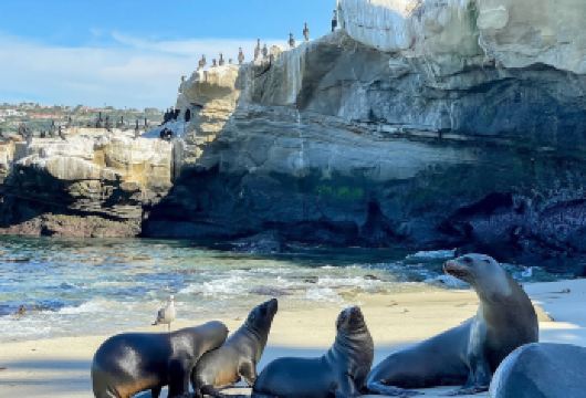 美国洛杉矶-圣地亚哥-胜利之吻-行程可调【中文包车自由行】【中文专车出行，行程自己定义，无需等待，专属贴心服务，尽享惬意旅程】