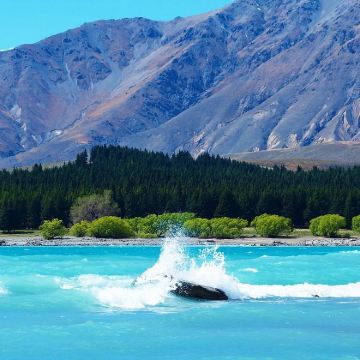 新西兰蒂卡波+奥马鲁+但尼丁 单程中文包车行程定制可调