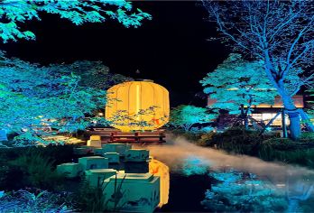 【无锡出发】灵山大佛+夜游拈花湾1日游 纯玩【[优质交通]空调旅游巴士，一人一座】