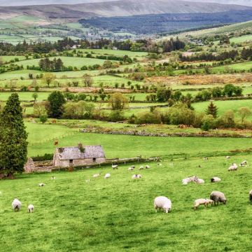 爱尔兰 都柏林出发 威克洛山脉+格伦达洛+基尔肯尼一日游