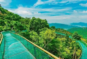 三亚亚龙湾天堂森林公园一日游【纯玩+免费接送+导游服务】【体验热带雨林，看三亚的五大海湾，近距离体验非诚勿扰二的拍摄基地】