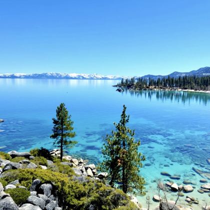 美国旧金山+太浩湖&可定制【中文专车-舒适纯净】