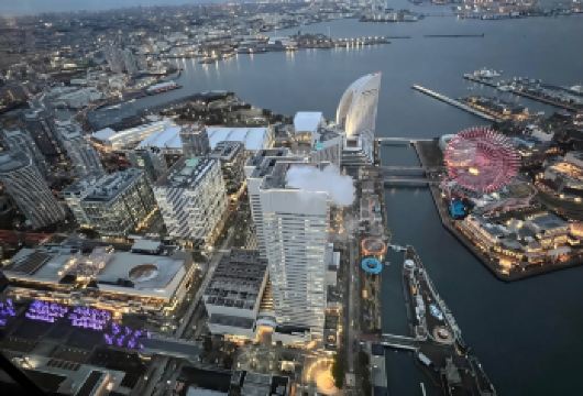 日本东京+横滨港未来21一日游/行程可调-可定制多日【包车一日游，解锁旅行新方式！独立车辆配备经验丰富的老司机，为您量身打造专属行程。】