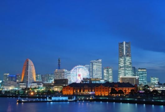 日本东京+横滨定制包车一日游/行程可调-可定制多日【包车一日游，解锁旅行新方式！独立车辆配备经验丰富的老司机，为您量身打造专属行程。】