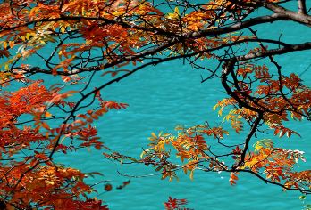 松坪沟风景区一日游【金秋赏红叶&打卡小九寨沟美景】【品质出游】