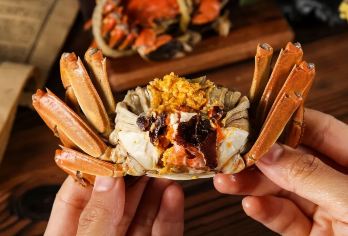 上海往返 品蟹欣赏江南水乡之旅 阳澄湖莲花岛+歇马桥一日游【专车接送/行程可定制】