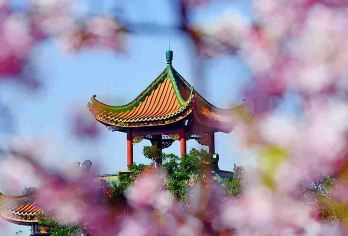 南粤苑+华盖路步行街顺德美食+清晖园+逢简水乡+一日游【[旅行新模式]上门接送，一单一团，不拼客，专属旅行，接您出行送您到家，旅程无忧！】