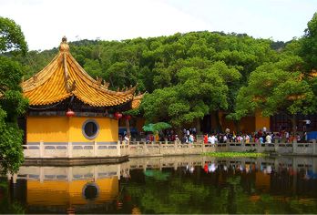 舟山普陀山风景区一日游【朱家尖集合 全程土著导游解说  】【[佛国普陀]精心策划行程，全程当地土著，土著导游陪同讲解，许愿，还愿必到景点】