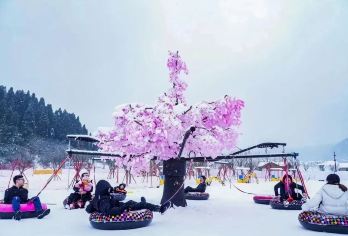 重庆丰都南天湖冰雪一日游【打卡国家队训练级雪场，6 条初高滑道畅滑】