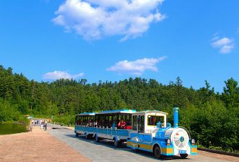 伊春五营国家森林公园+汤旺河林海奇石风景区一日游【独立包车】【独立用车，往返专业接送， 多款车型选择】