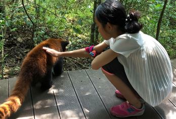 云南普洱太阳河国家森林公园一日游-独立用车酒店接送【[品质保障]一单一团，全程只为您服务不论您多少人，司机、用车等全程都是为您服务，】