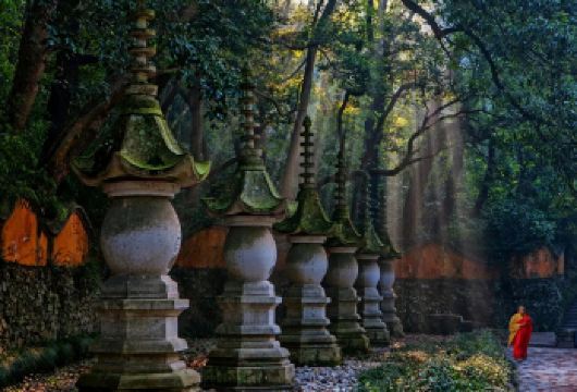 【私家精品团·含门票】天台山大瀑布+国清寺一日游【自由定制游览节奏，你的旅程你做主】