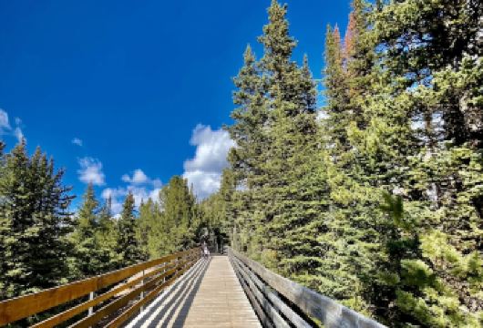 加拿大卡尔加里-惊喜角-路易丝湖-行程可调【中文包车自由行】【中文专车出行，行程自己定义，无需等待，专属贴心服务，尽享惬意旅程】