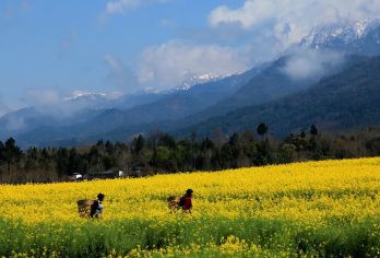 腾冲界头古纸博物馆+石墙野温泉+花纸体验+千年银杏王一日游【[秘境游玩]探索小众景点，感受大自然的鬼斧神工；】