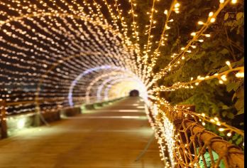 开封+清明上河图浮雕+开封古城墙+朱仙镇岳飞庙多国语言导游@【宋代张择端的名画《清明上河图》为蓝本，以北宋都城汴梁（现名开封）的市井生活和古代娱乐为题材的仿古文化】