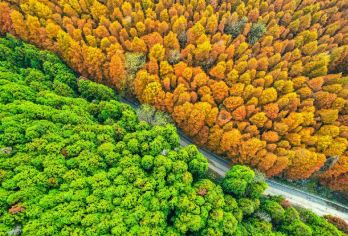 【重庆小川西自驾178环线】南川金山湖+风吹岭+山王坪一日游【可选英文导游 | 专车接送 | 行程可调 | 可定制行程】