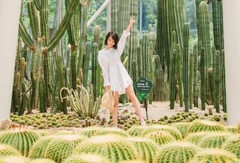 厦门园林植物园+帆船+赶海一日游【尊享纯玩无自费】【全程一导，一价全含，0购物0加点，真正放心纯玩行程！】