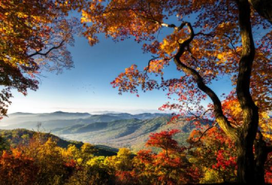 日本北海道定山溪赏秋+支笏湖【中文专车/行程定制】【尊享一对一高端行程定制，豪华包车专属礼遇，专业旅行顾问24小时恭候垂询。】