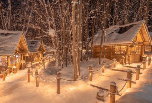 旭山动物园＆白须瀑布＆美瑛＆青池一日游|全程中文司导|【北海道热门景点一日游，每天发团！一人成团!】