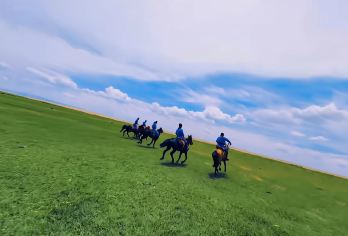 宁夏银川·通湖草原+腾格里沙漠+中卫沙坡头一日游【[线路特色]腾格里沙漠(额里森达来景区)、沙坡头(黄河美景邂逅沙漠)、通湖草原(沙漠与草原的结合)】