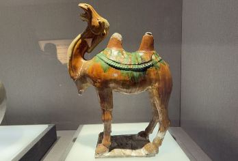 【稳定出票】景德镇中国陶瓷博物馆丨含入园+可选大咖导游讲解【帮约门票+可选自由参观或可选人工导游讲解2h】